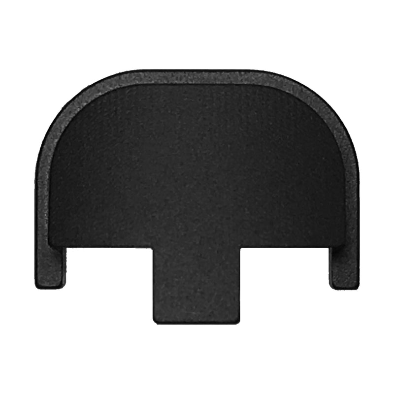 BLANK - Smith & Wesson SD - SD VE, Rear Slide Back Plate